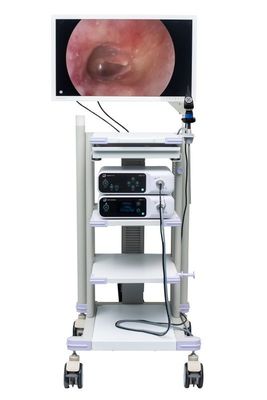 Schermo di visualizzazione chirurgico per il monitor medico a 27 pollici di endoscopia della macchina fotografica dell'endoscopio