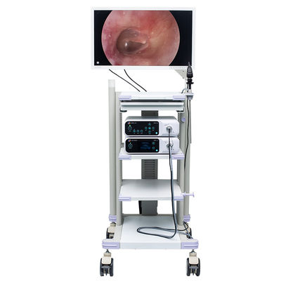 Torre medica DJSXJ-IIb del sistema della macchina fotografica dell'endoscopio di UHD 4K