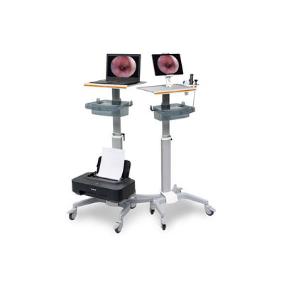 Torre senza fili medica DJSXJ-Ib del sistema della macchina fotografica dell'endoscopio di Wifi