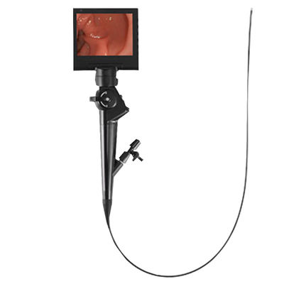 Video laringoscopio portatile tenuto in mano 6mm del Bronchoscope