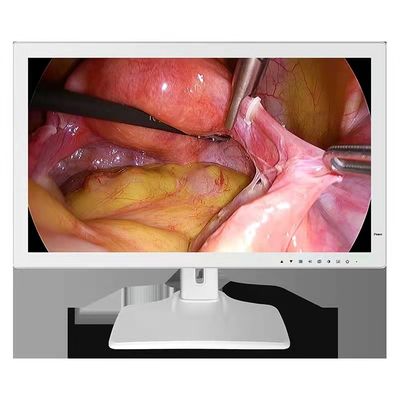 monitor medico 24inch dell'endoscopio di 1980x1200 RGBS