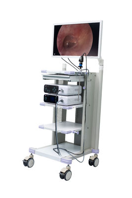 Macchina fotografica piena medica dell'endoscopio di HD per l'artroscopia OTORINOLARINGOIATRICA chirurgica di isteroscopia di ginecologia della laparoscopia